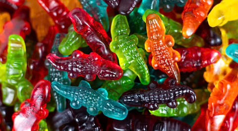 Jelly Crocodiles (Mini Jelly Crocodiles)